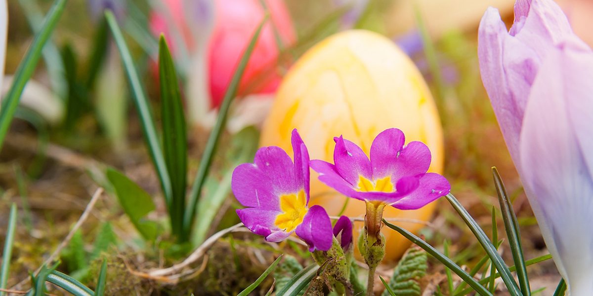 Oster-Lunch 2018 Oster-Lunch 2018